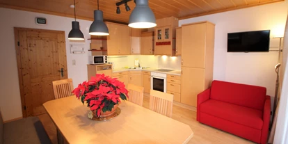 Hundehotel - Tauplitz - Appartement Blick-Hauserkaibling - Küche  - Appartement Mama