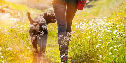 Hundehotel - Tauplitz - Spaziergang mit Hund  - Appartement Mama