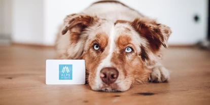 Hundehotel - Tauplitz - Tauernresidence Radstadt by ALPS RESORTS