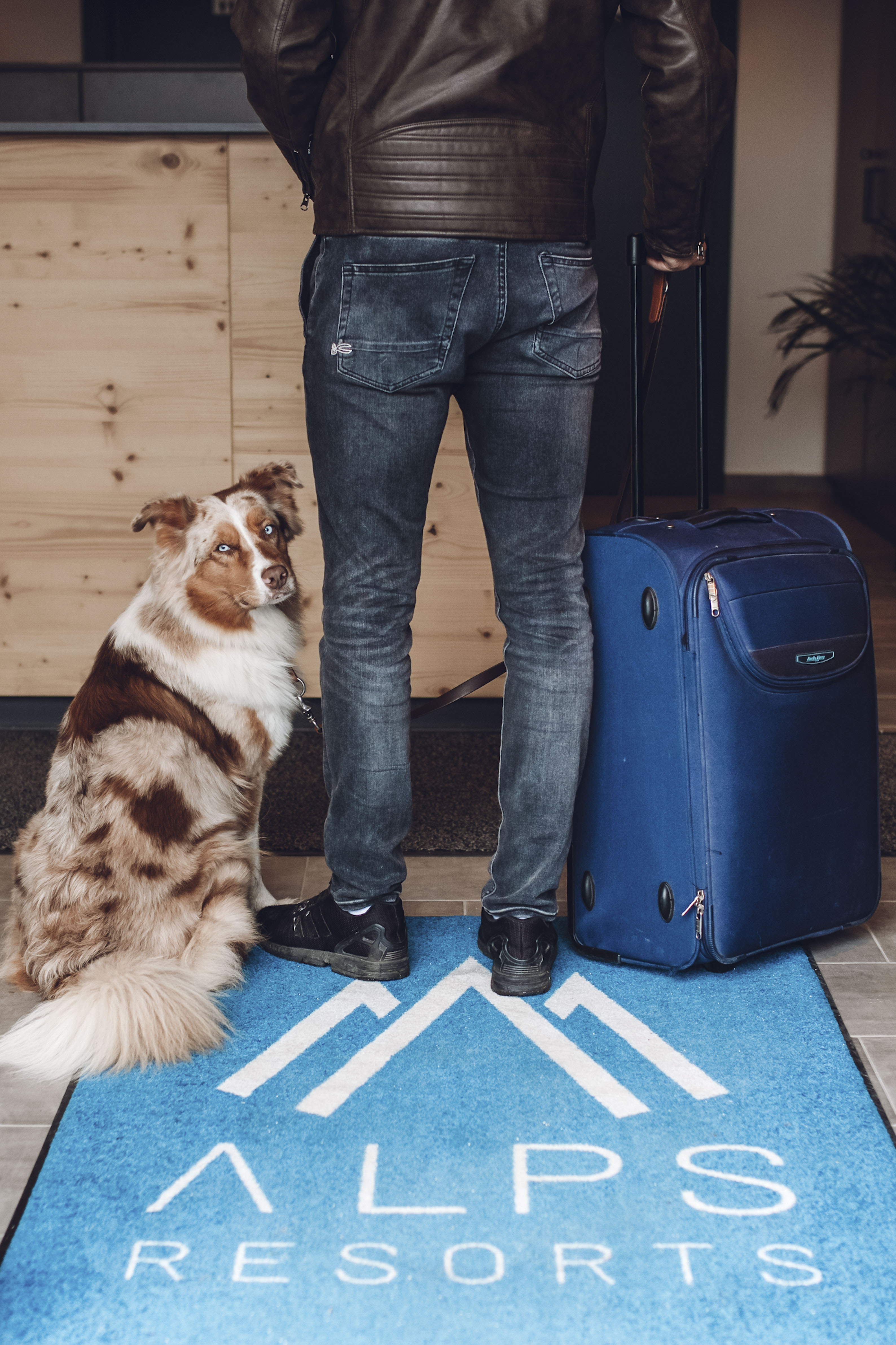 Hundehotel - Preisniveau: moderat - Schladming - Tauernresidence Radstadt by ALPS RESORTS