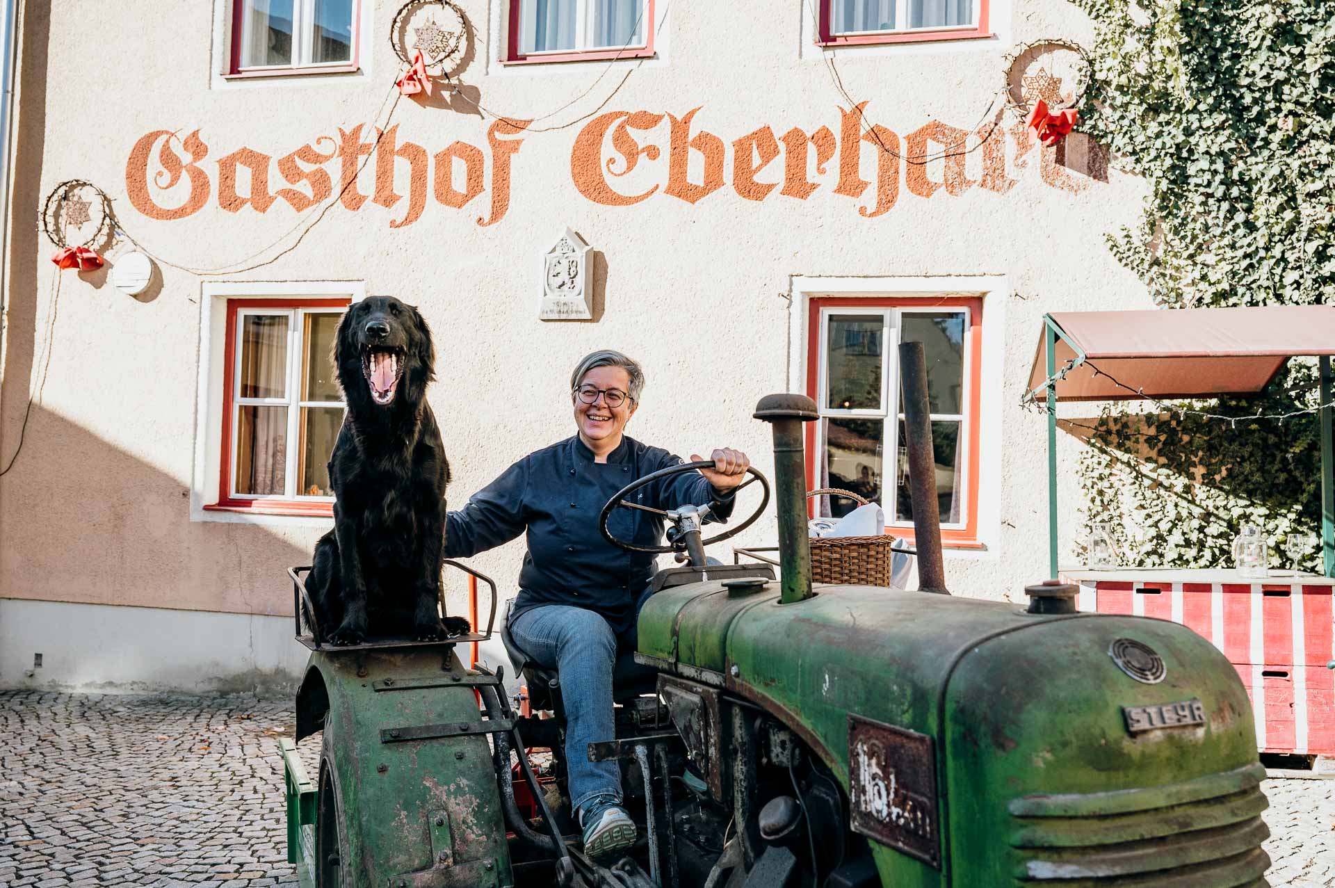 Hundehotel - PLZ 8054 (Österreich) - Linus und Ilse freuen sich auf Euch! - Der Eberhard