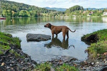 Urlaub-mit-Hund: sonnenresort MALTSCHACHER SEE