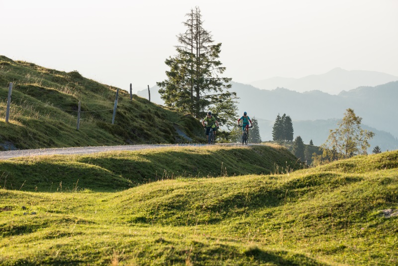 Urlaub-mit-Hund: Natur - Adults Only Hotel Unterlechner