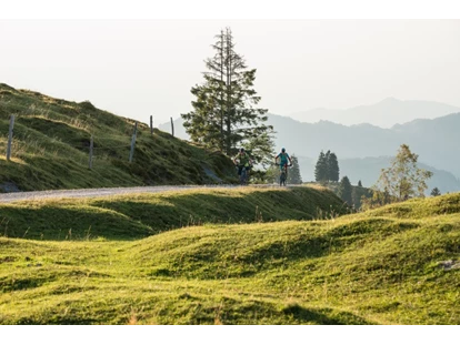 Hundehotel - Mariastein (Mariastein) - Natur - Adults Only Hotel Unterlechner