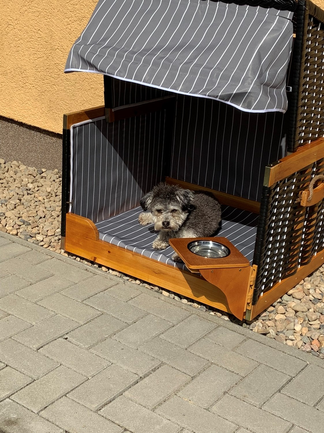Ferienhaus mit Hund: Wellness Ferienhaus Bergheide