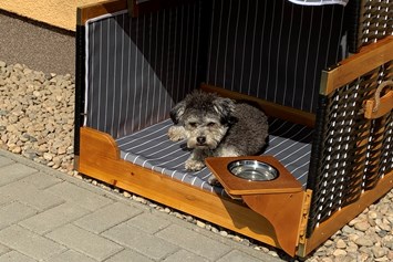 Ferienhaus mit Hund: Wellness Ferienhaus Bergheide