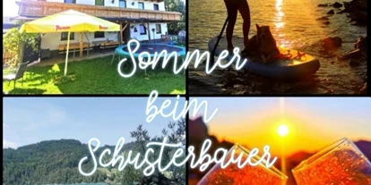 Hundehotel - Grundstück eingezäunt - Koppl (Koppl) - Schusterbauer Koppl