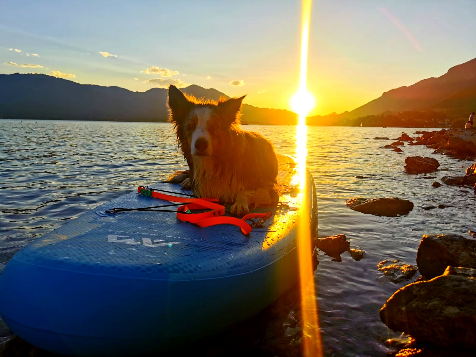 Hundehotel - Sitzplatz im Garten - Schusterbauer Koppl 