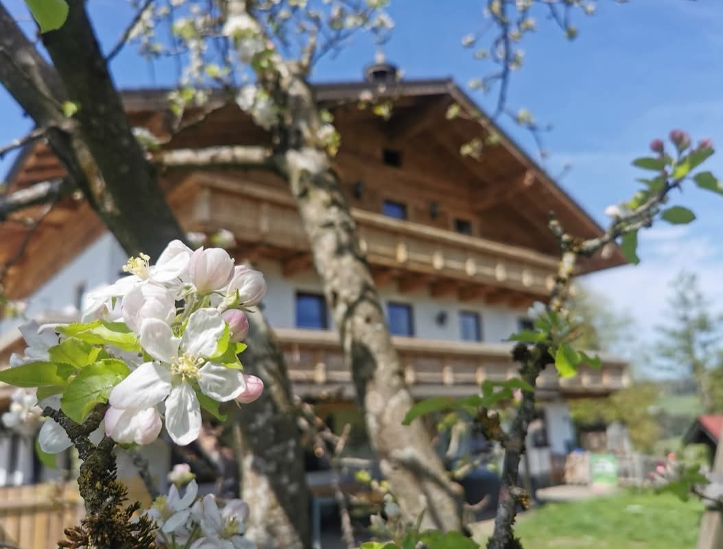 Ferienhaus mit Hund: Schusterbauer Koppl 