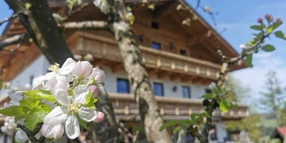 Hundehotel - Grundstück eingezäunt - Koppl (Koppl) - Schusterbauer Koppl