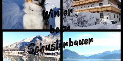 Hundehotel - Grundstück eingezäunt - Koppl (Koppl) - Schusterbauer Koppl