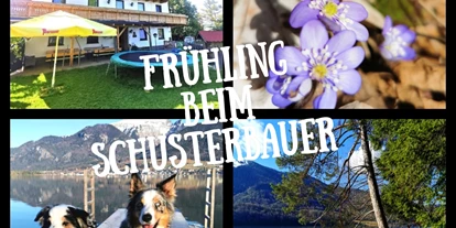 Hundehotel - Grundstück eingezäunt - Koppl (Koppl) - Schusterbauer Koppl