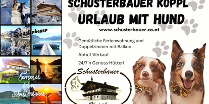 Hundehotel - Grundstück eingezäunt - Koppl (Koppl) - Schusterbauer Koppl