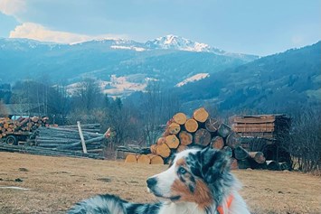Urlaub-mit-Hund: Alpenblick Hotel Kreischberg