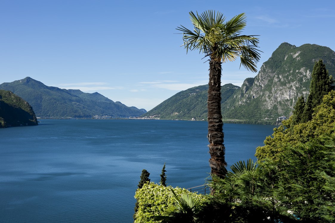 Urlaub-mit-Hund: Lago di Lugano - Parco San Marco Lifestyle Beach Resort