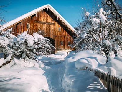 Hundehotel - Tauplitz - Winter am Gutshof - Hotel Gut Weissenhof ****S