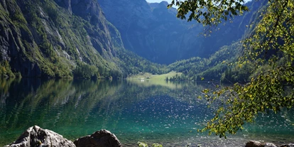 Hundehotel - WLAN - Berchtesgaden - Umgebung - Alpenhotel Bergzauber