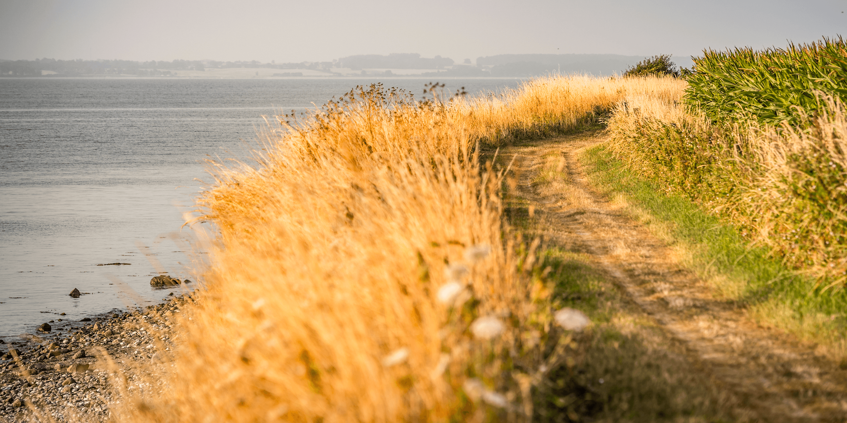 Ostseehotel Midgard Ausflugsziele Fahrradtour am Naturstrand