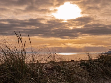 Urlaub-mit-Hund: Sonnenaufgang am Hundestrand - Ostseehotel Midgard