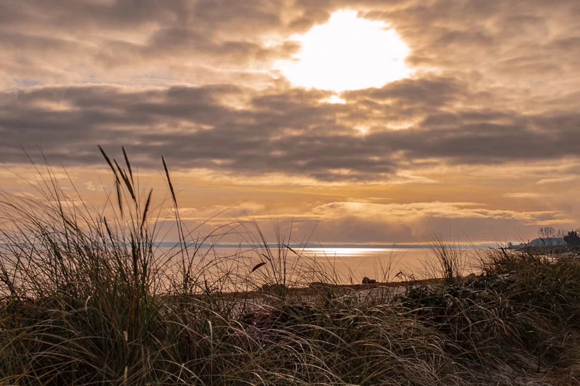 Urlaub-mit-Hund: Sonnenaufgang am Hundestrand - Ostseehotel Midgard