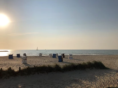 Hundehotel - Doggies: 3 Doggies - Hundestrand Südstrand - Ostseehotel Midgard