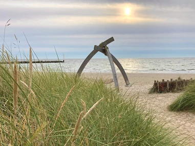 Urlaub-mit-Hund: Der Hundestrand im Dampland - Ostseehotel Midgard