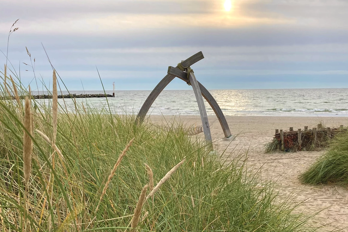 Urlaub-mit-Hund: Der Hundestrand im Dampland - Ostseehotel Midgard