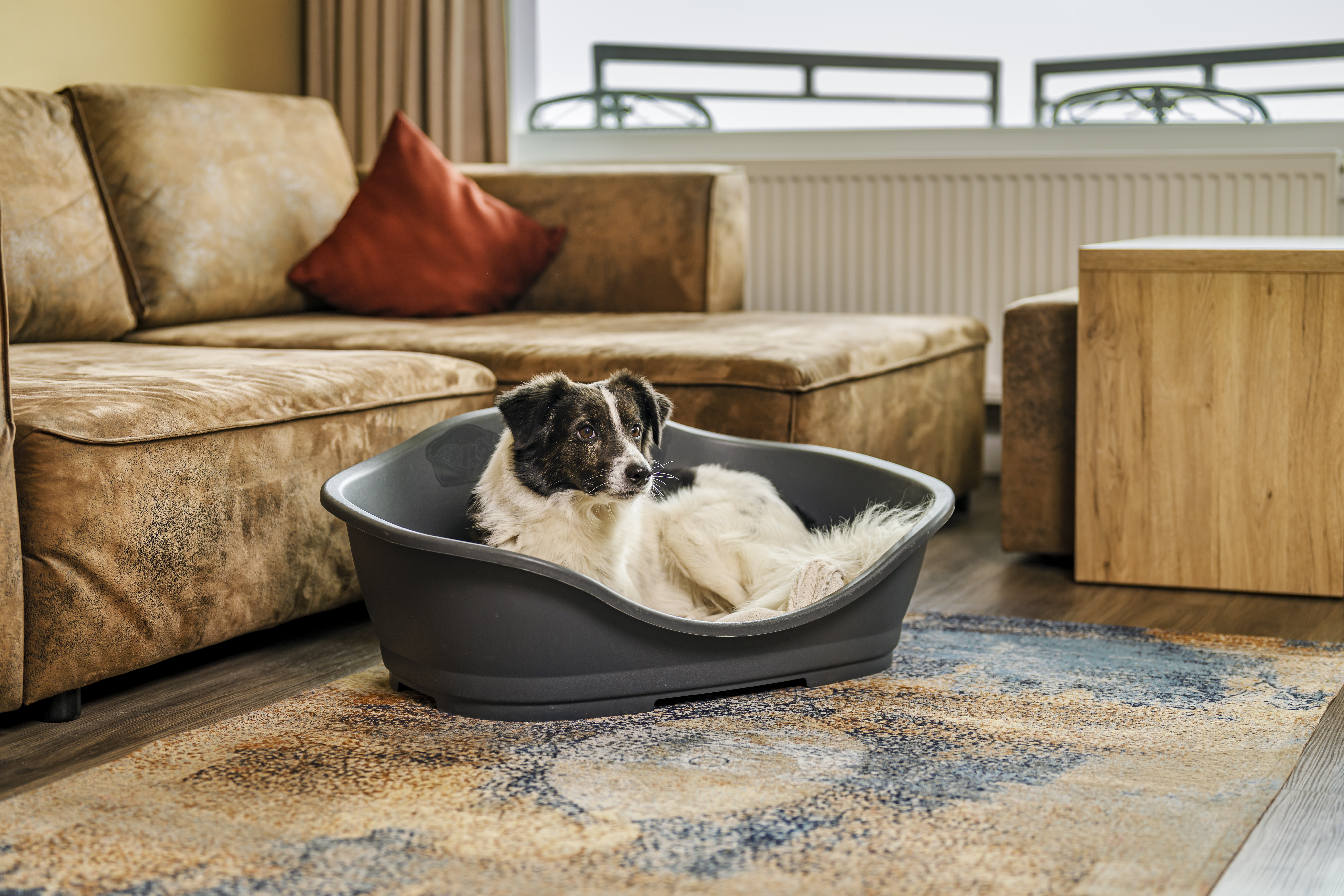 Urlaub-mit-Hund: Hundefreundliche Ausstattung - Ostseehotel Midgard - Haus | Umgebung, Urlaub mit Hund, Wohnen | Schlafen
