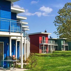 Ferienhaus mit Hund: Premiumhaus (Blau) Aussenansicht  - Premiumhaus im Dampland