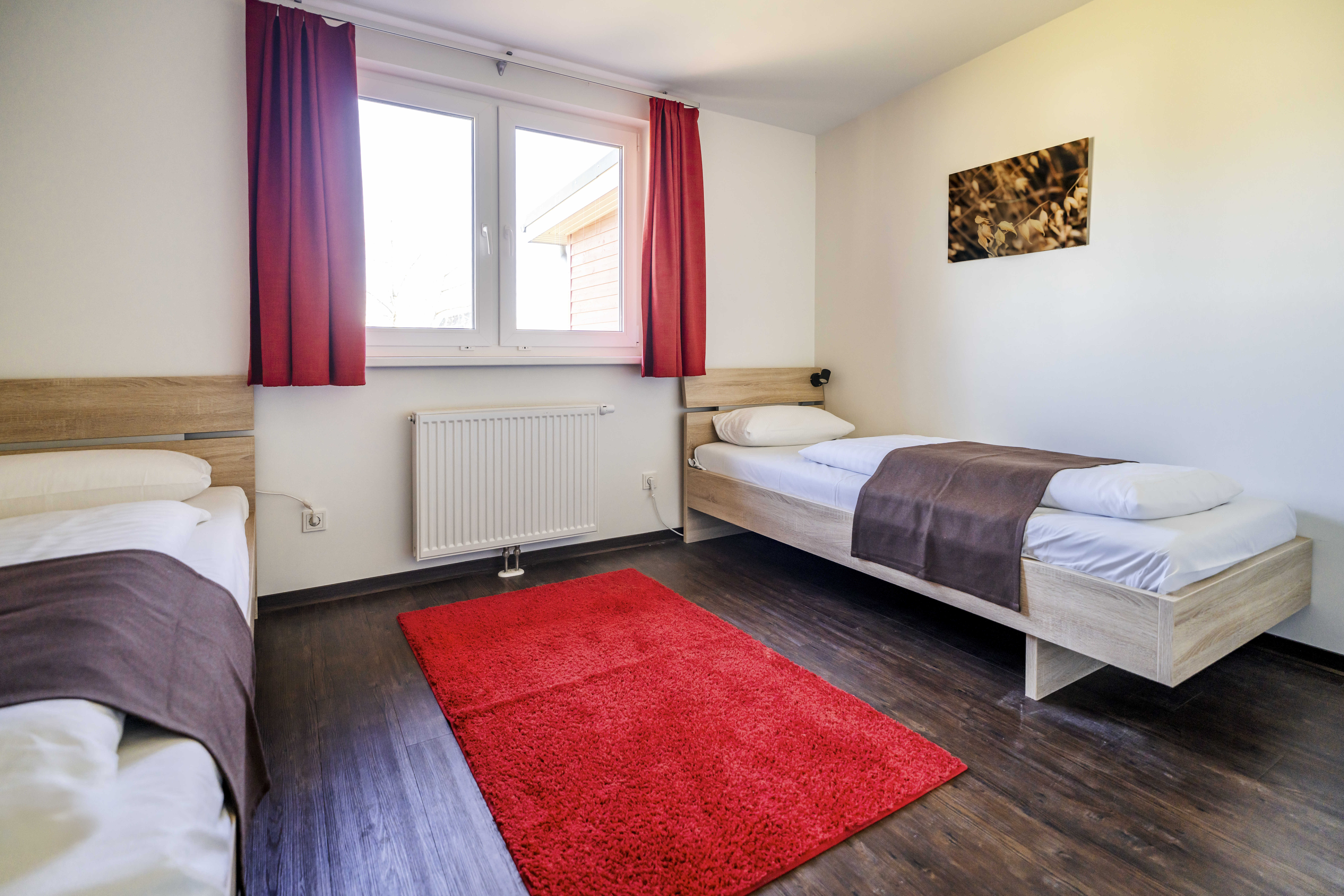 Ferienhaus mit Hund: Premiumhaus Einzelbetten - Premiumhaus in Damp