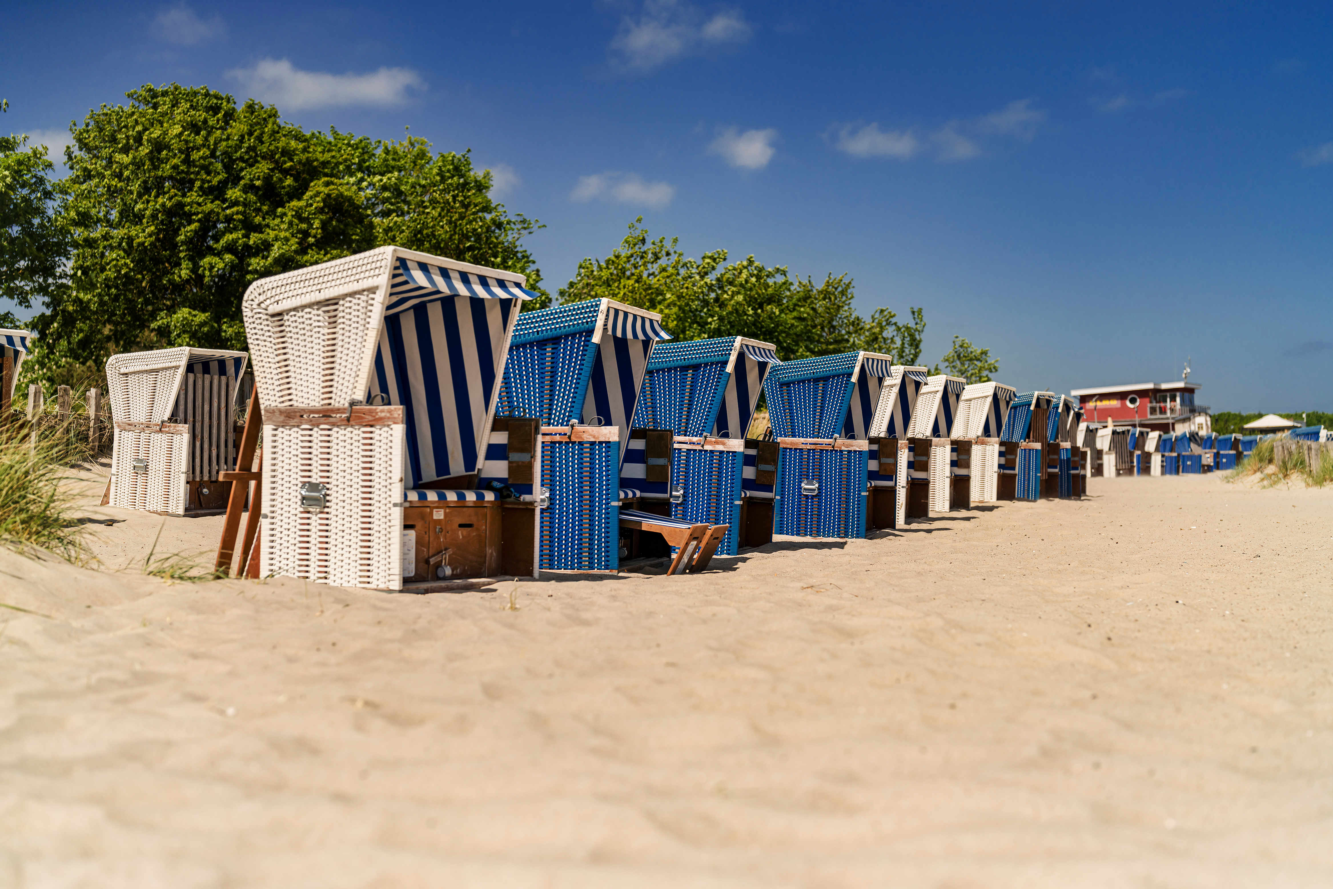 Ferienhaus mit Hund: Strand mit Strandkörben - Premiumhaus in Damp