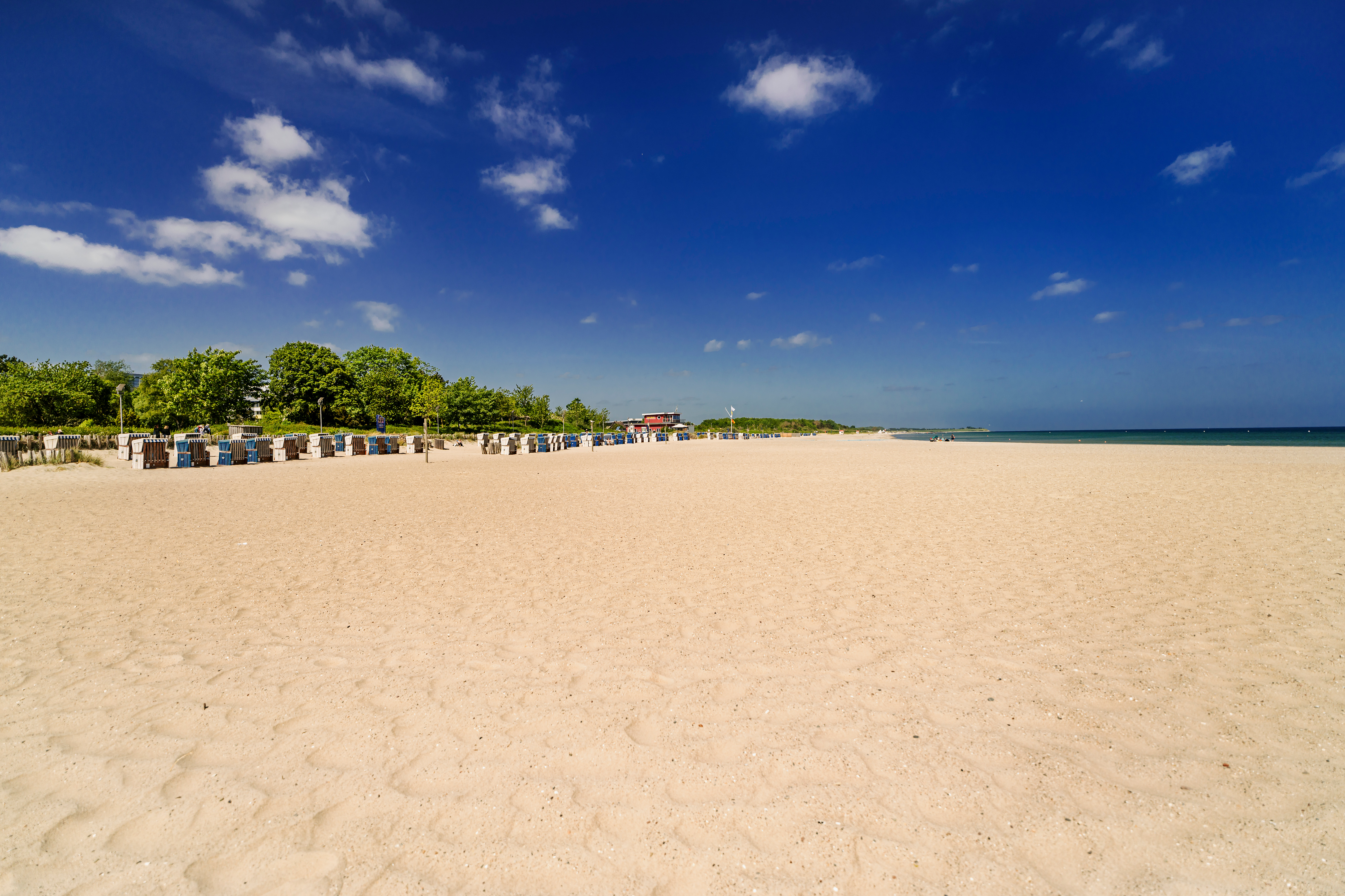 Ferienhaus mit Hund: Strand - Premiumhaus in Damp