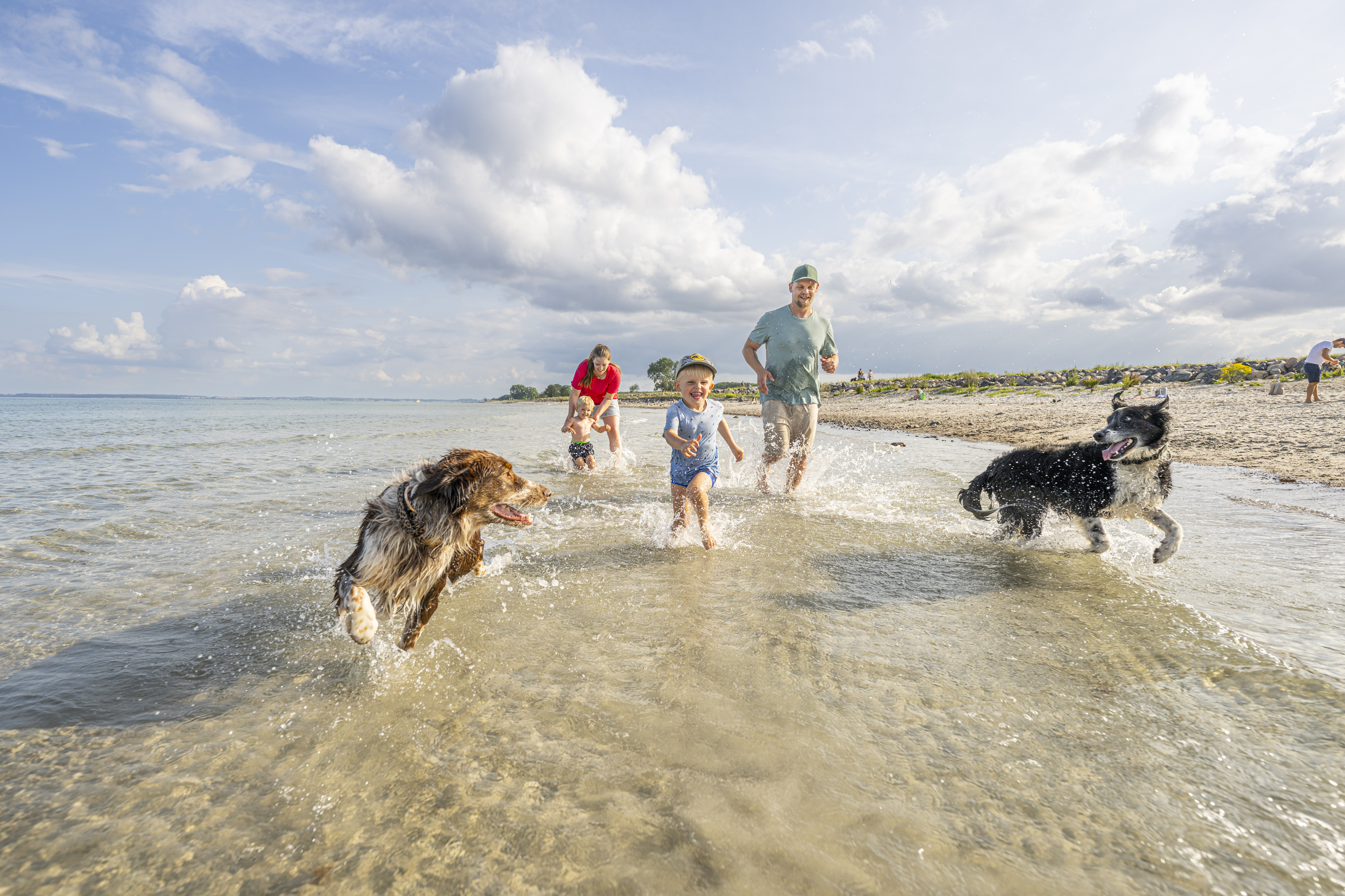 Ferienhaus mit Hund: Spielen am langen Hundestrand - Premiumhaus in Damp