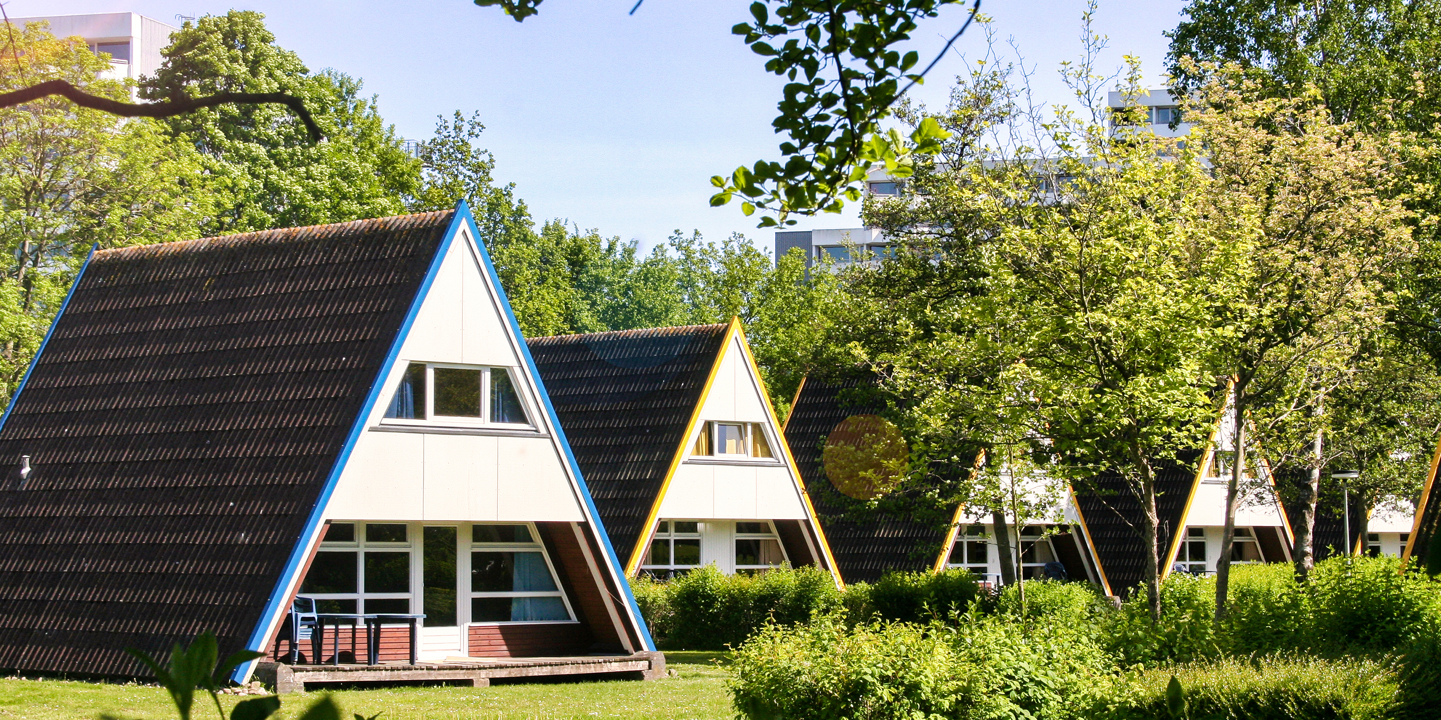 Hundehotel - Deutschland - Nurdachhaus Aussenansicht - Nurdachhaus in Damp