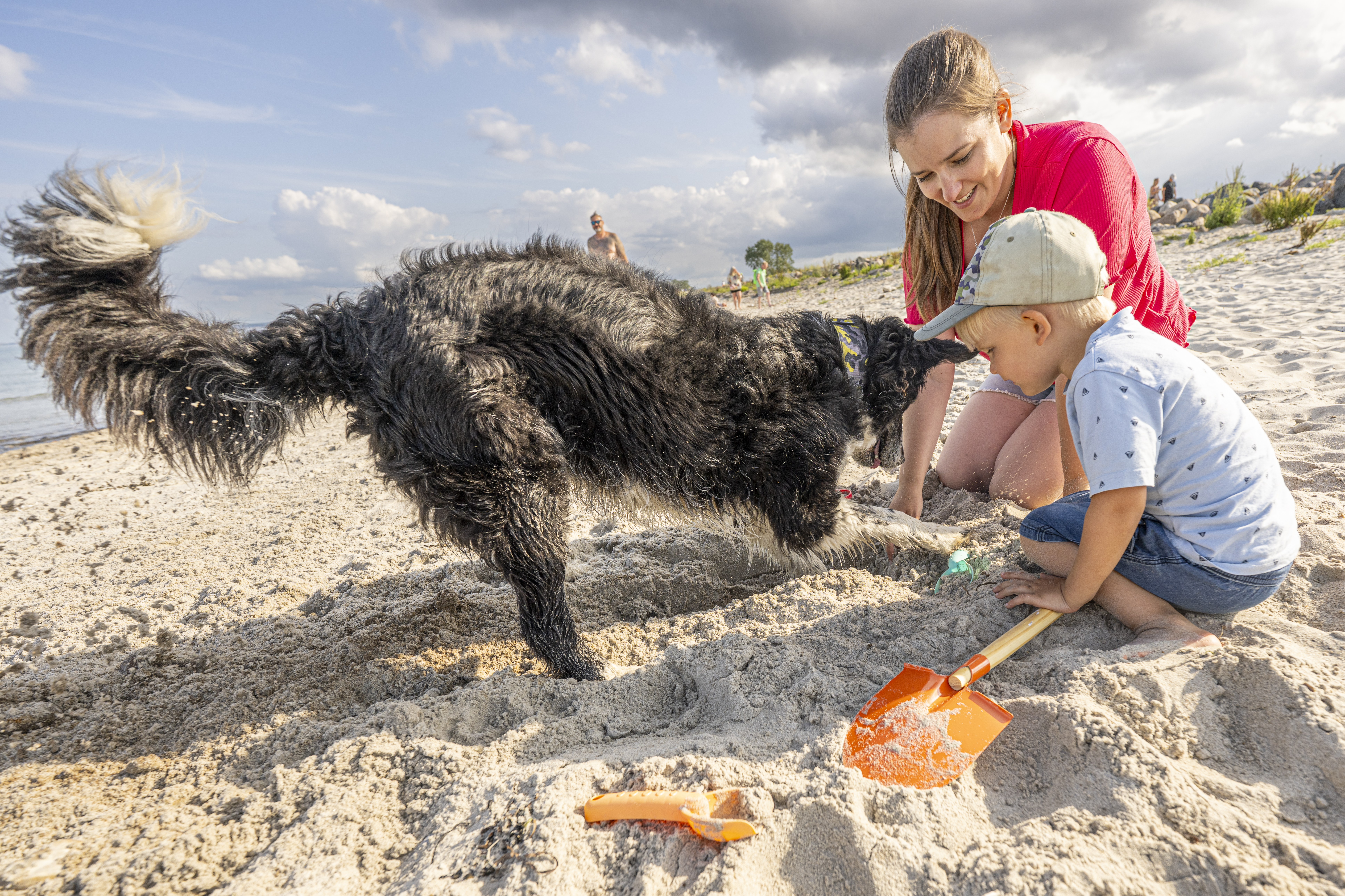 Ferienhaus mit Hund: Spielen am Hundestrand - Blockhaus in Damp