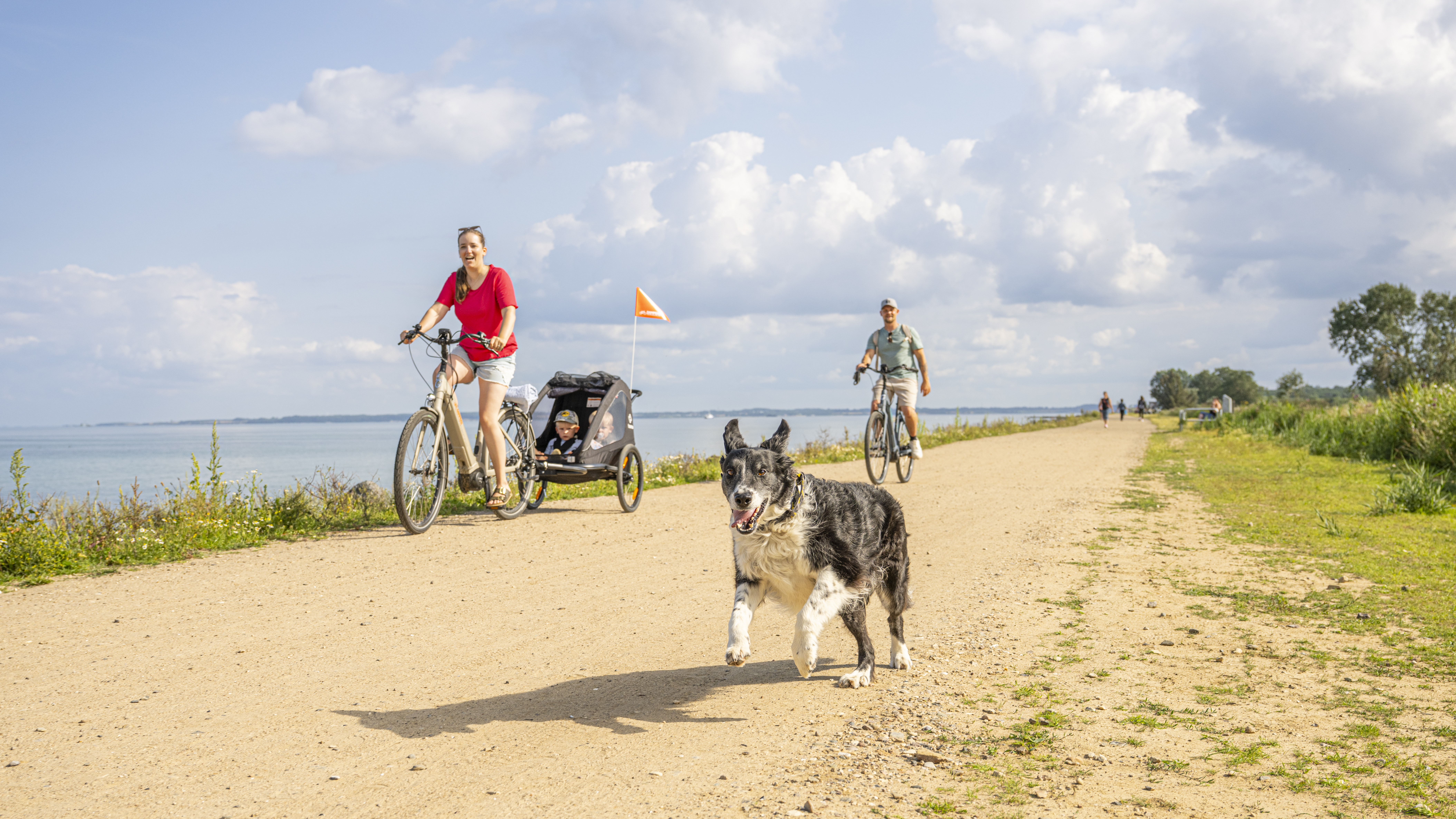 Ferienhaus mit Hund: Radtour am Hundestrand - Blockhaus in Damp