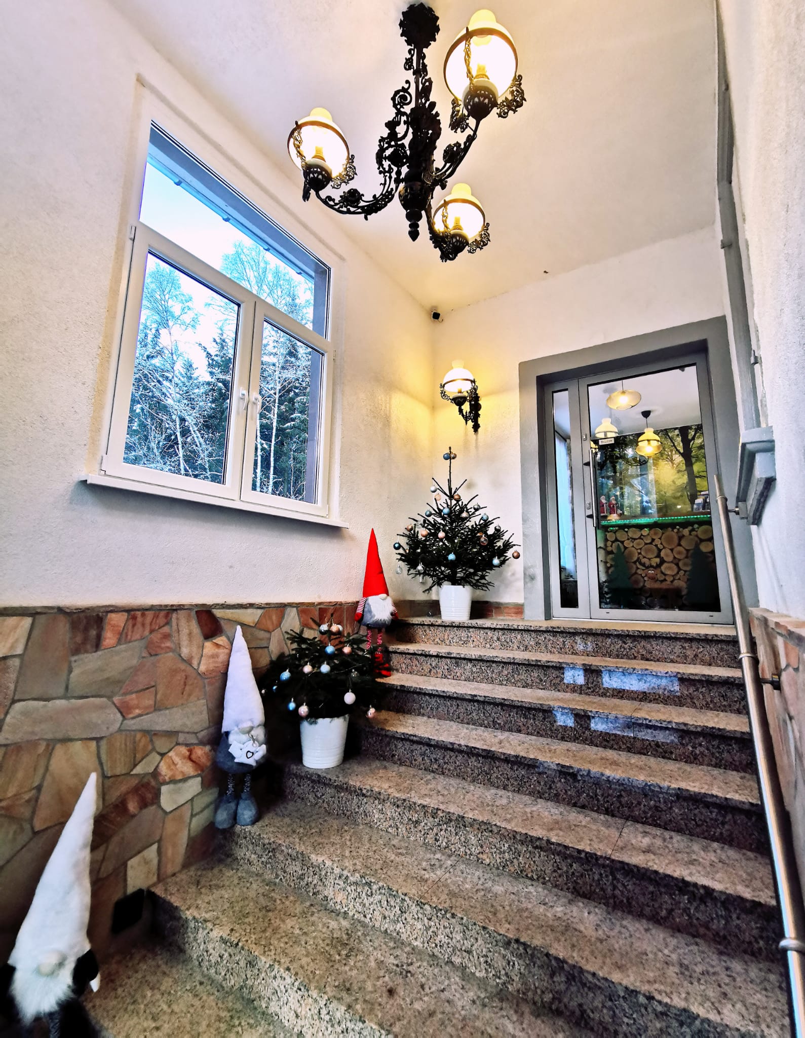 Hundehotel - Sachsen - Pension Haus Anna