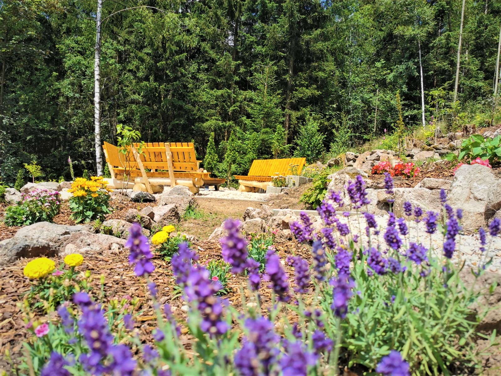 Hundehotel - Sachsen - Pension Haus Anna