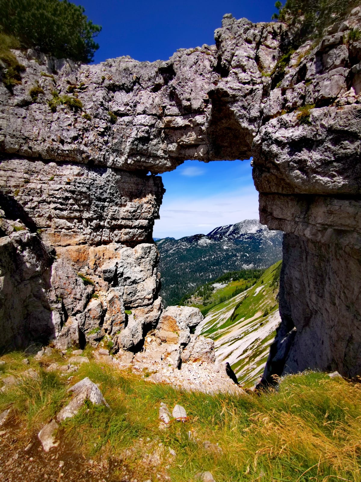 Urlaub-mit-Hund: JUFA Hotel Altaussee***