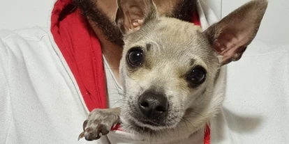 Hundehotel - Doggies: 3 Doggies - Hotel La Morena