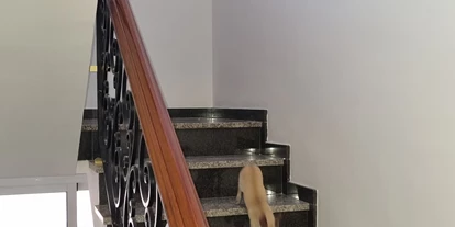 Hundehotel - Doggies: 3 Doggies - Hotel La Morena
