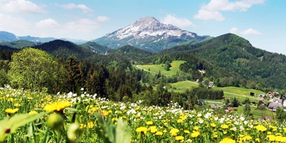 Hundehotel - Doggies: 3 Doggies - JUFA Hotel Annaberg***s