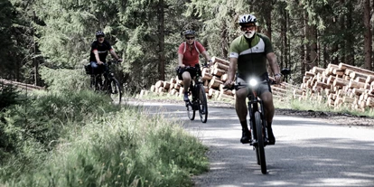 Hundehotel - Bad Leonfelden - INNs HOLZ Chaletdorf im Sommer Radfahren Mountainbike - INNs HOLZ Chaletdorf