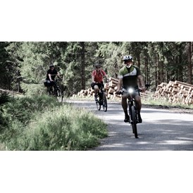 Urlaub-mit-Hund: INNs HOLZ Chaletdorf im Sommer Radfahren Mountainbike - INNs HOLZ Chaletdorf