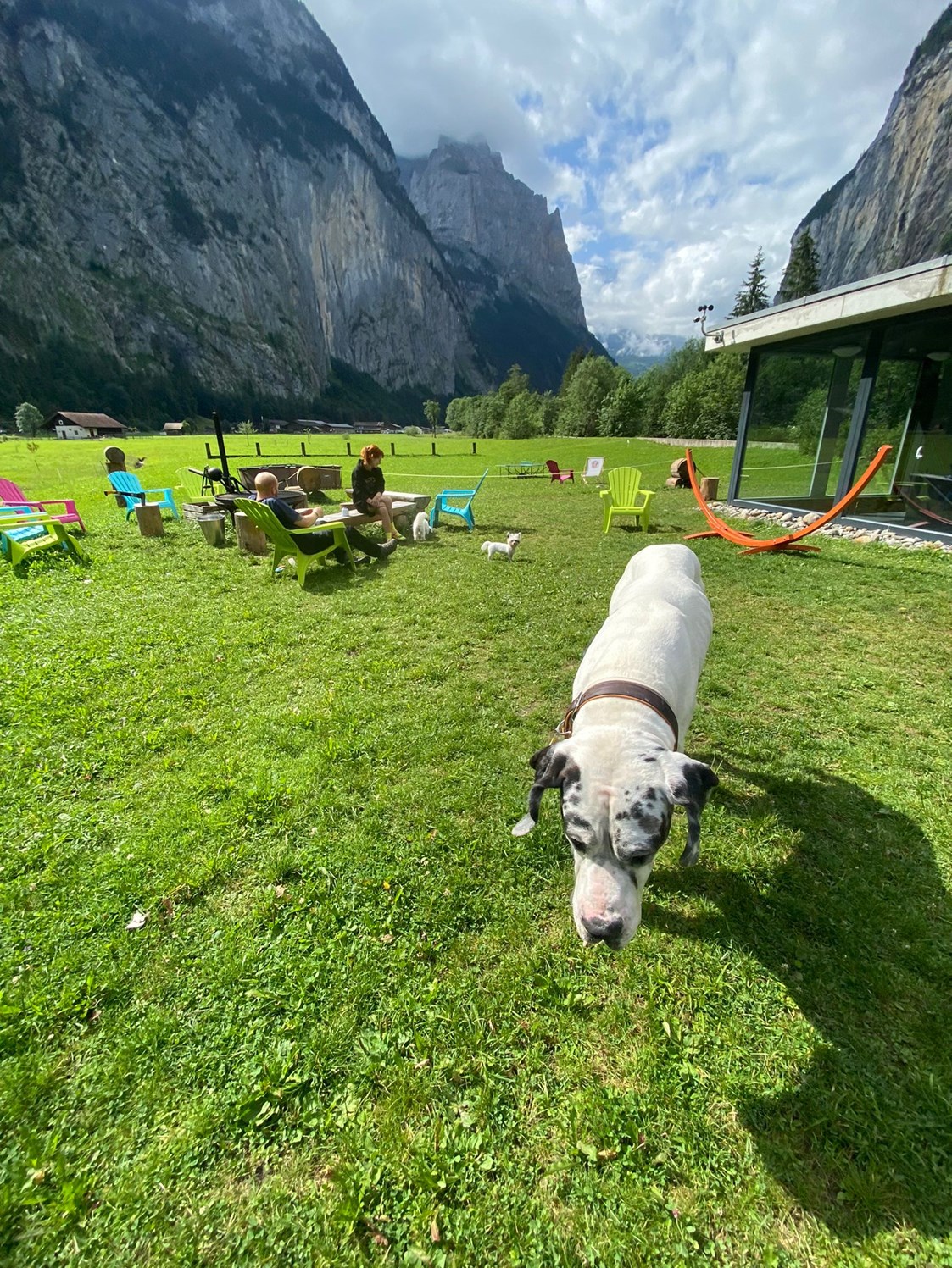 Urlaub-mit-Hund: Alpine BASE Hostel