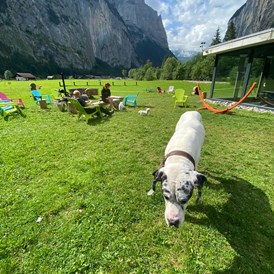 Urlaub-mit-Hund: Alpine BASE Hostel