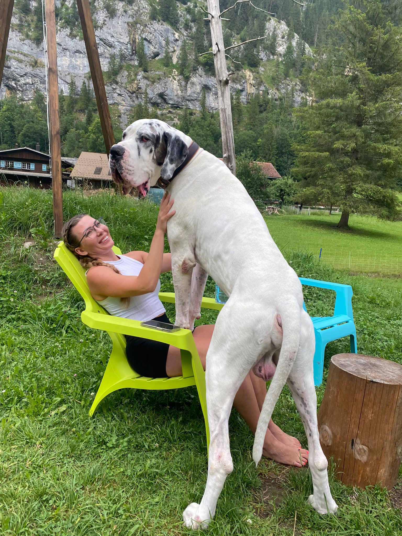 Hundehotel - Schweiz - Alpine BASE Hostel