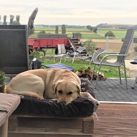Urlaub-mit-Hund: Maifelder Wellness-Loft