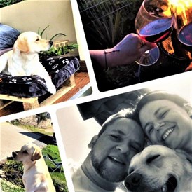 Urlaub-mit-Hund: Wellness, Relaxen, aktiv sein,- und Hundi ist immer dabei! - Maifelder Wellness-Loft mit Naturpanorama und 70 Inklusiv-Leistungen