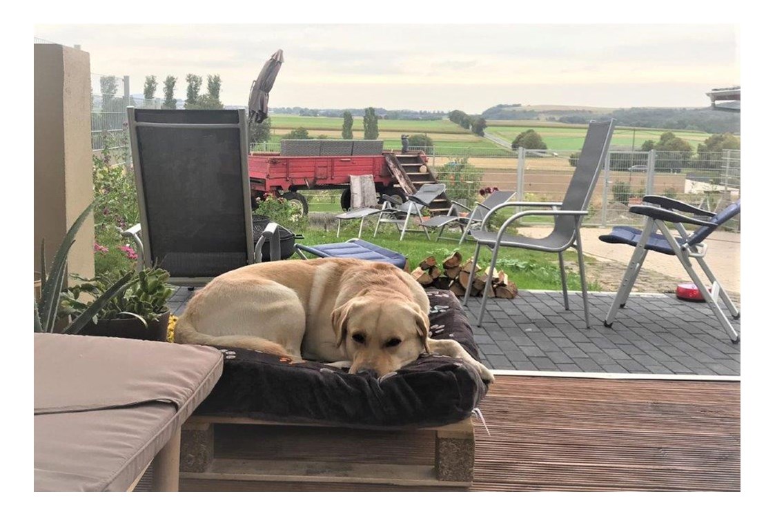 Urlaub-mit-Hund: Eine Oase für Hunde. - Maifelder Wellness-Loft mit Naturpanorama und 70 Inklusiv-Leistungen